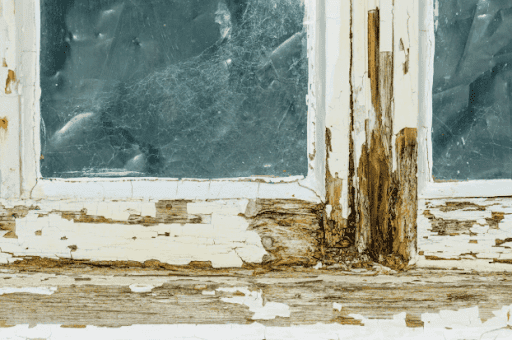 Close-up of a rotting, peeling wooden window frame with glass panels.