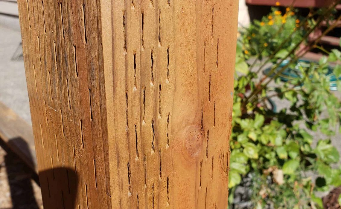 A Safer Preservative Method For Preservative Treated Products